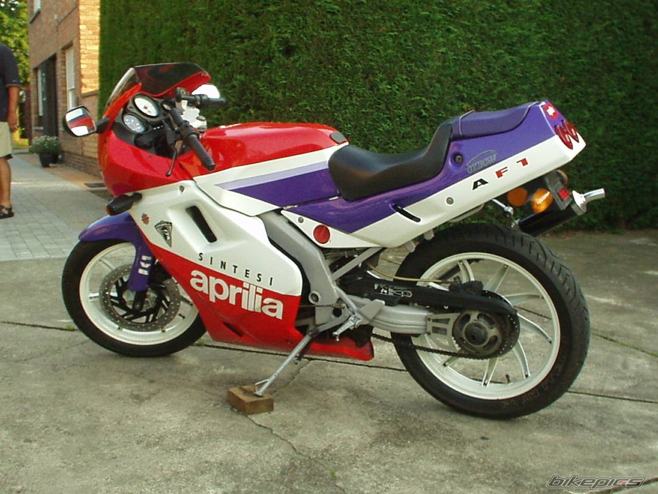 1989 APRILIA AF1 SINTESI 50 | Picture 388605 motorcycle photo