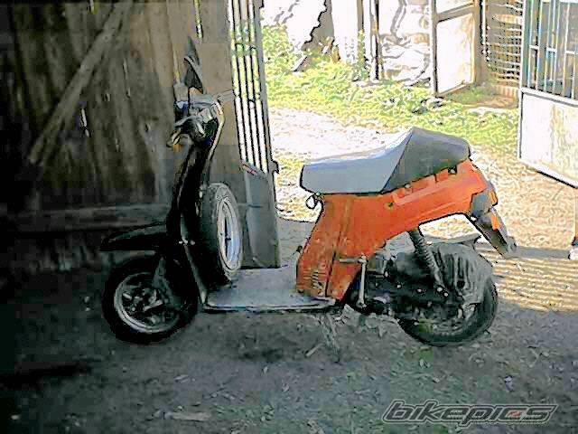 1999 BAJAJ SUNNY 50 | Picture 388615 motorcycle photo