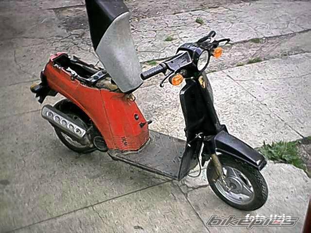 1999 BAJAJ SUNNY 50 | Picture 388619 motorcycle photo
