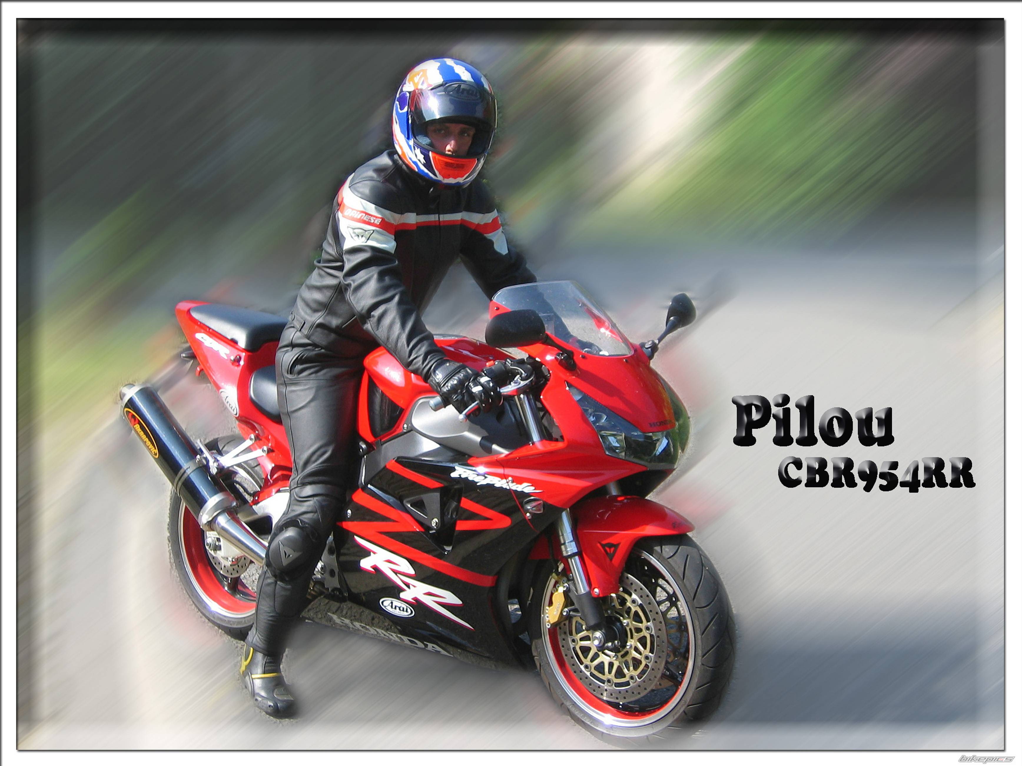 2002 HONDA CBR 900 | Picture 388742 motorcycle photo
