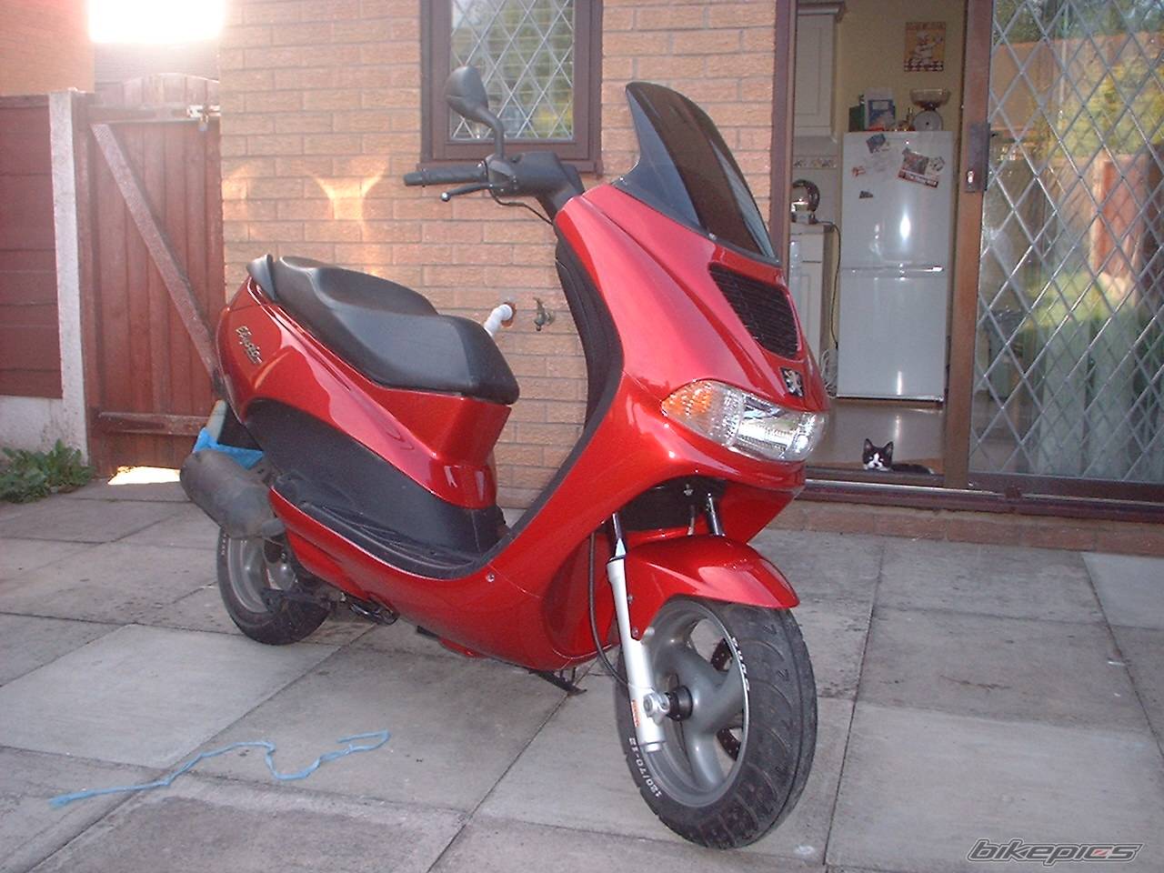 2001 PEUGEOT ELYSEO 100 | Picture 388777 motorcycle photo