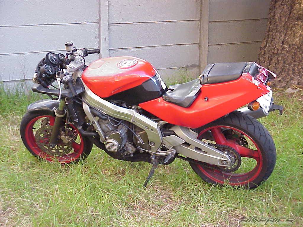 1988 HONDA CBR 400 | Picture 38898 motorcycle photo