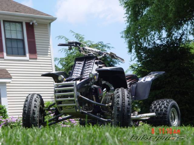 1999 YAMAHA BANSHEE | Picture 389063 motorcycle photo