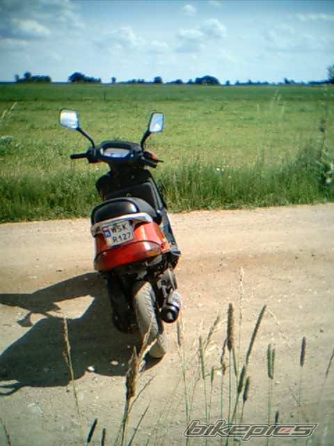 1998 HONDA BALI EX 100 | Picture 389246 motorcycle photo