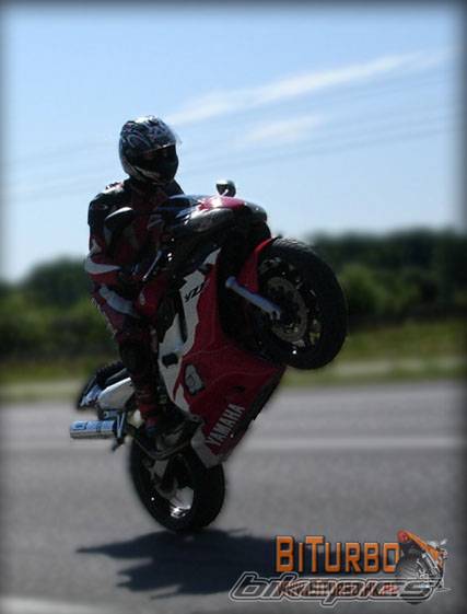 2005 YAMAHA YZF R6 | Picture 389278 motorcycle photo