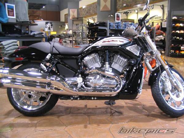 2005 HARLEY DAVIDSON VRSCR STREET ROD | Picture 389756 motorcycle photo
