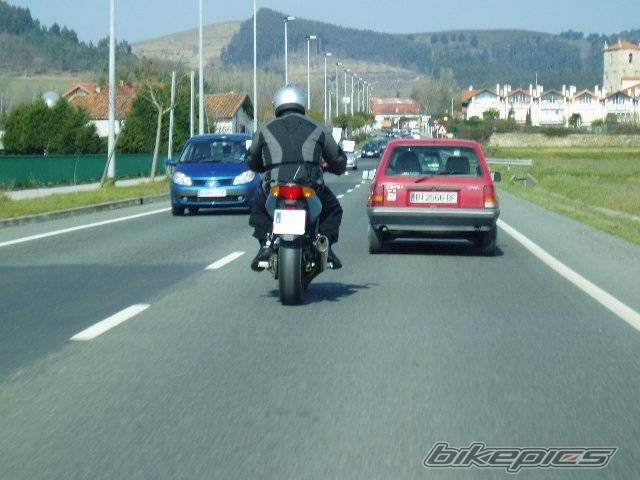 2004 HONDA CBF 600 | Picture 389878 motorcycle photo