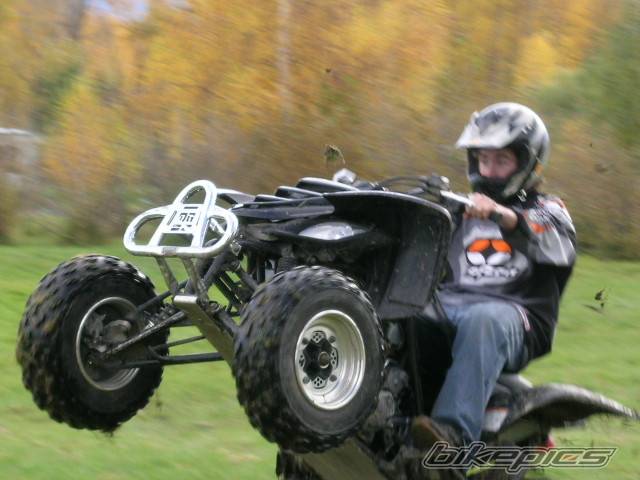2003 YAMAHA RAPTOR YFM 660 | Picture 390395 motorcycle photo