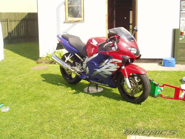 1999 HONDA CBR 600 | Picture 390512 motorcycle photo