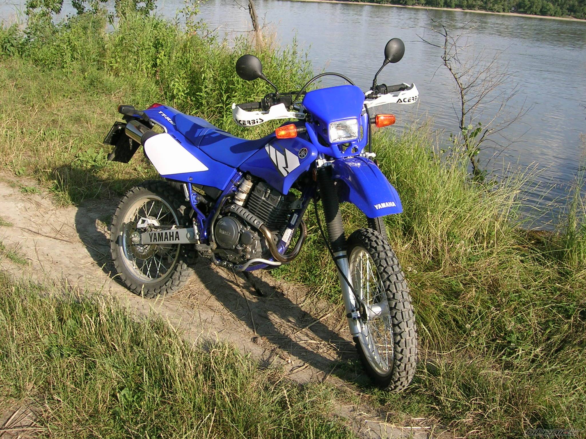 2004 YAMAHA TTR 250 | Picture 390560 motorcycle photo