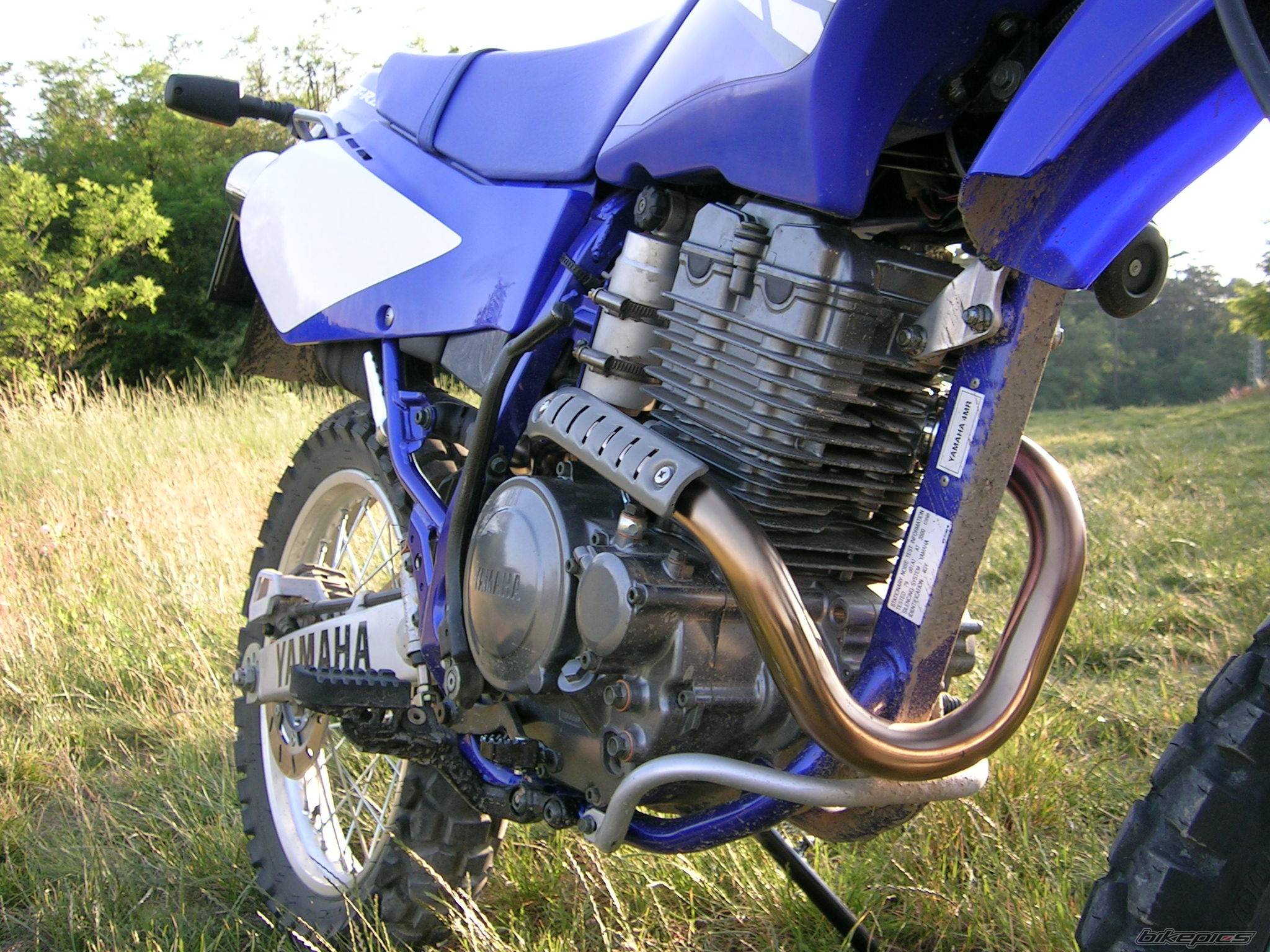 2004 YAMAHA TTR 250 | Picture 390562 motorcycle photo