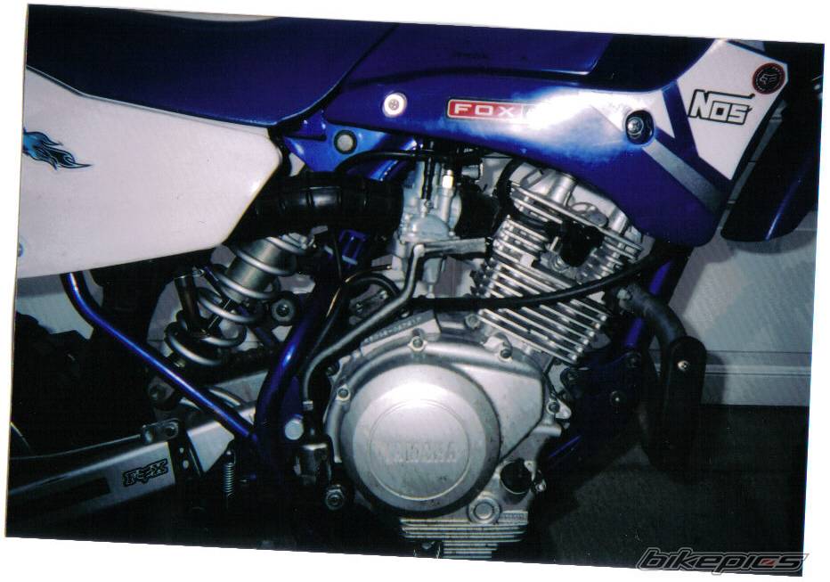 2001 YAMAHA TTR 125 | Picture 391056 motorcycle photo