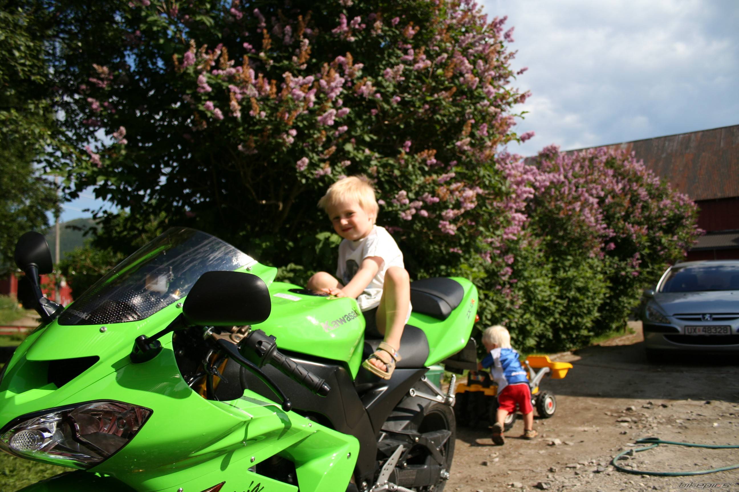 2005 KAWASAKI ZX 10R | Picture 391213 motorcycle photo