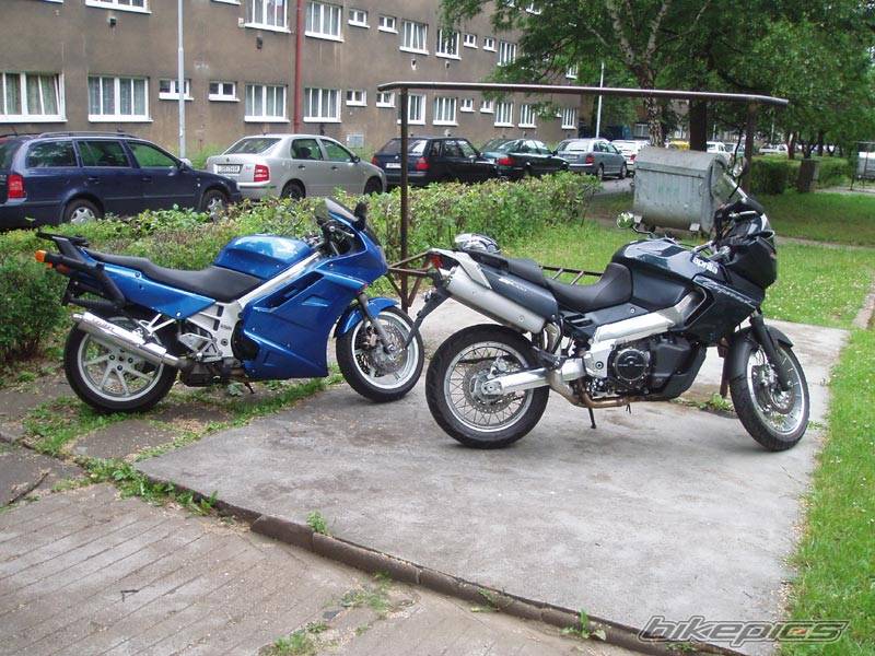 2004 APRILIA ETV 1000 | Picture 391887 motorcycle photo