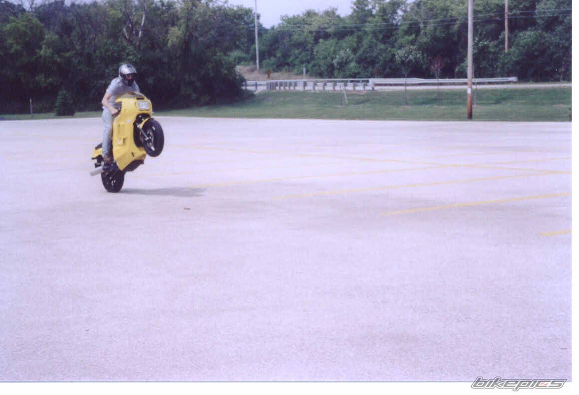 1985 HONDA VTR 1000 | Picture 39190 motorcycle photo