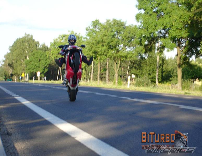 2005 YAMAHA YZF R6 | Picture 392117 motorcycle photo