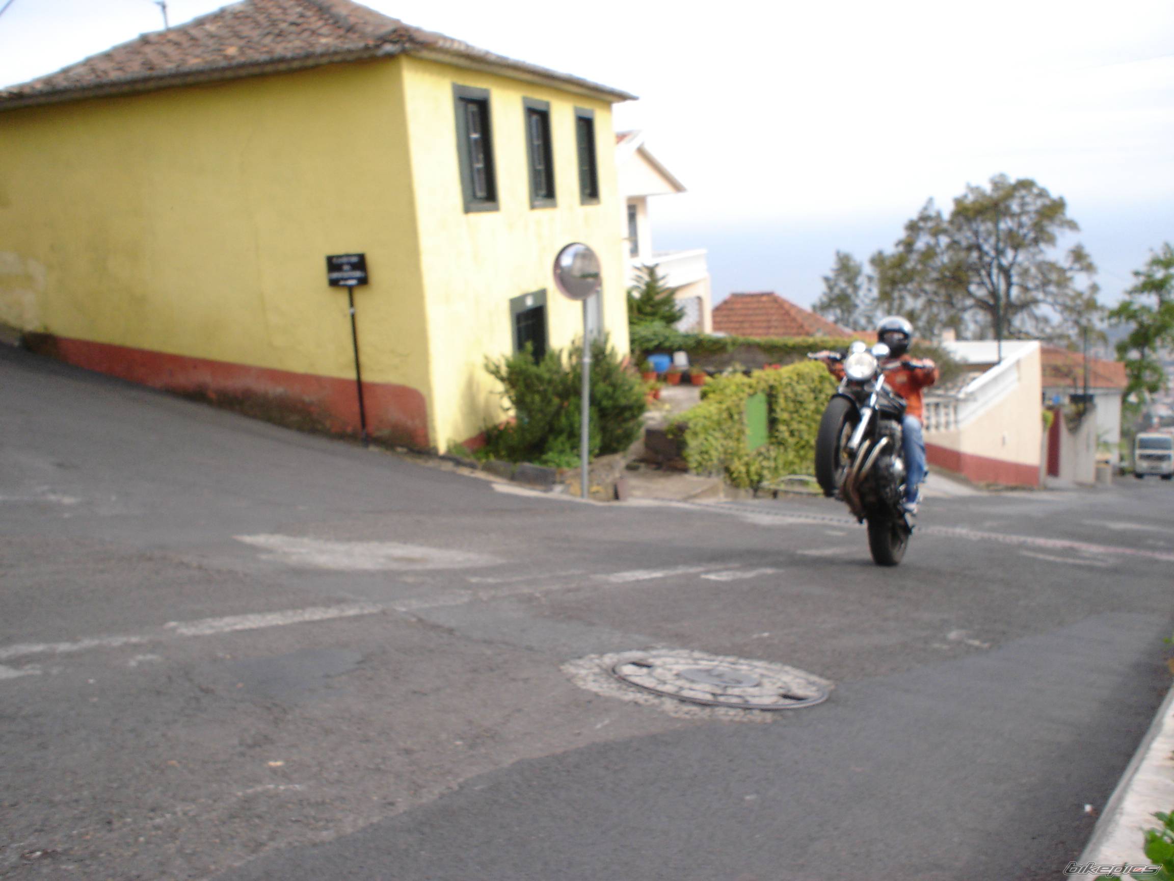 2002 SUZUKI BANDIT 600 | Picture 392315 motorcycle photo