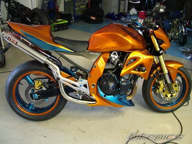 2005 KAWASAKI Z 1000 | Picture 392632 motorcycle photo
