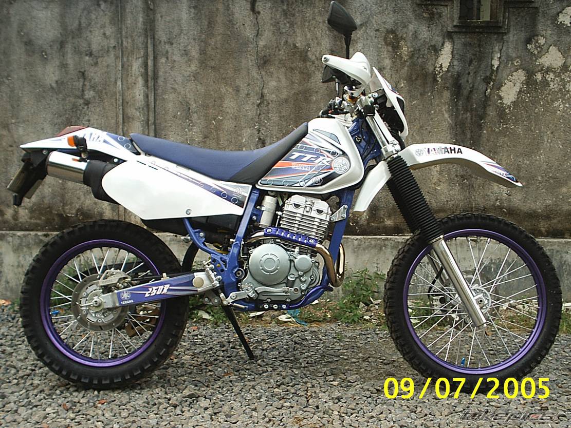 1995 YAMAHA TTR 250 | Picture 392959 motorcycle photo