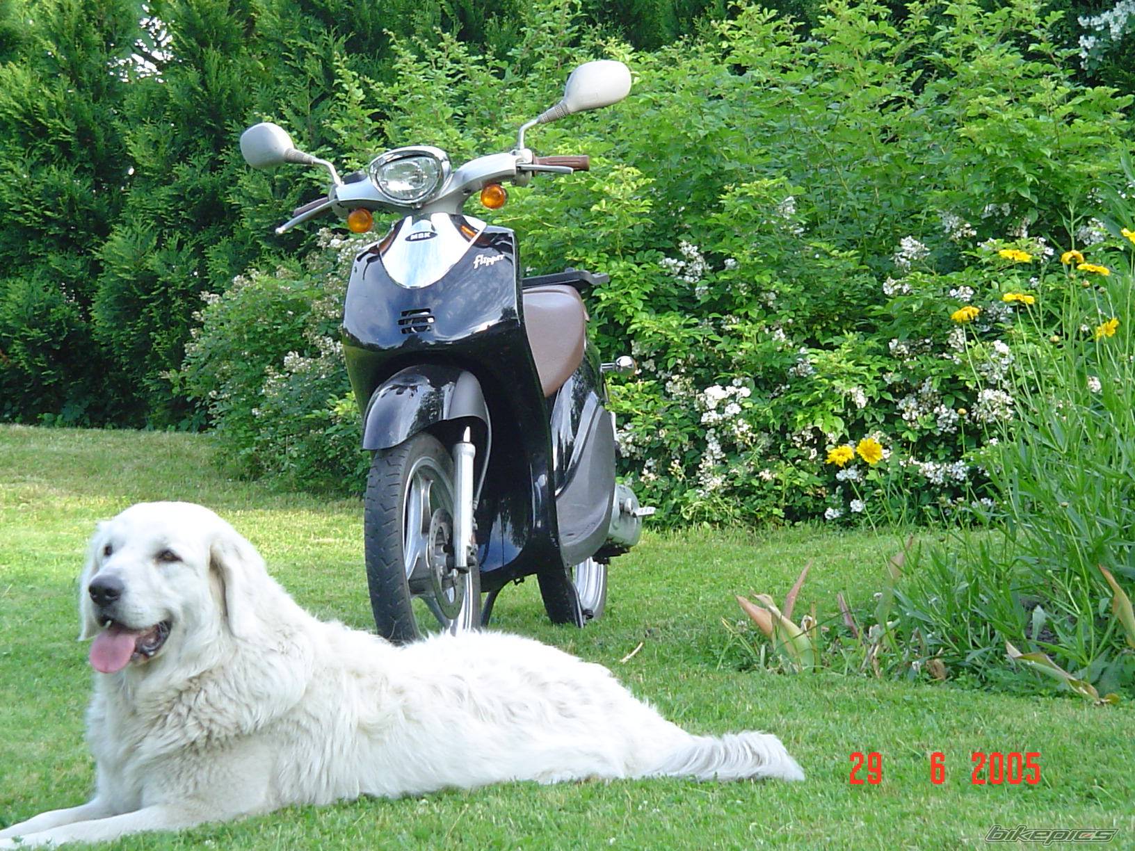 2002 MBK FLIPPER | Picture 393090 motorcycle photo