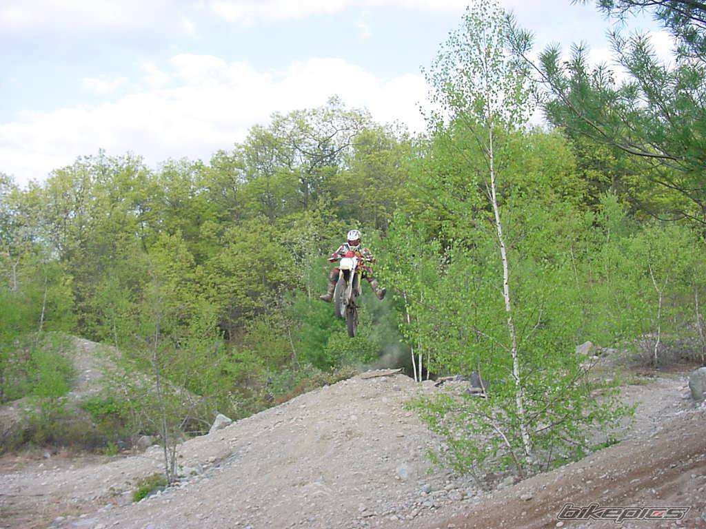 2003 SUZUKI RM 85 | Picture 393604 motorcycle photo