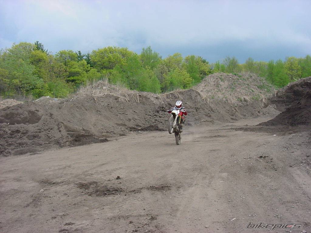 2003 SUZUKI RM 85 | Picture 393607 motorcycle photo