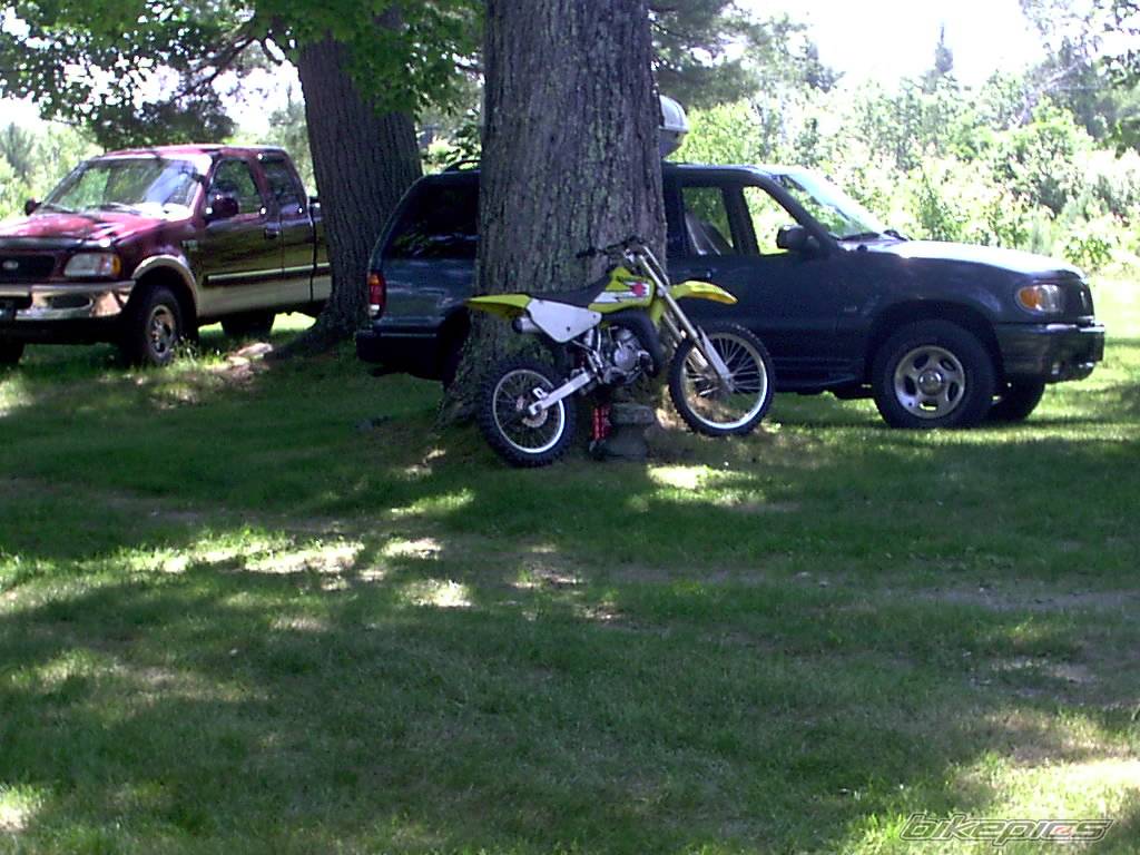 2003 SUZUKI RM 85 | Picture 393609 motorcycle photo