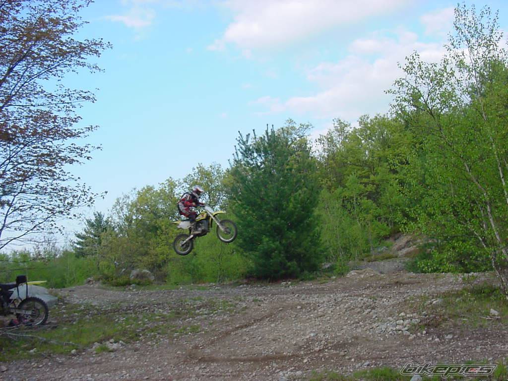 2003 SUZUKI RM 85 | Picture 393610 motorcycle photo