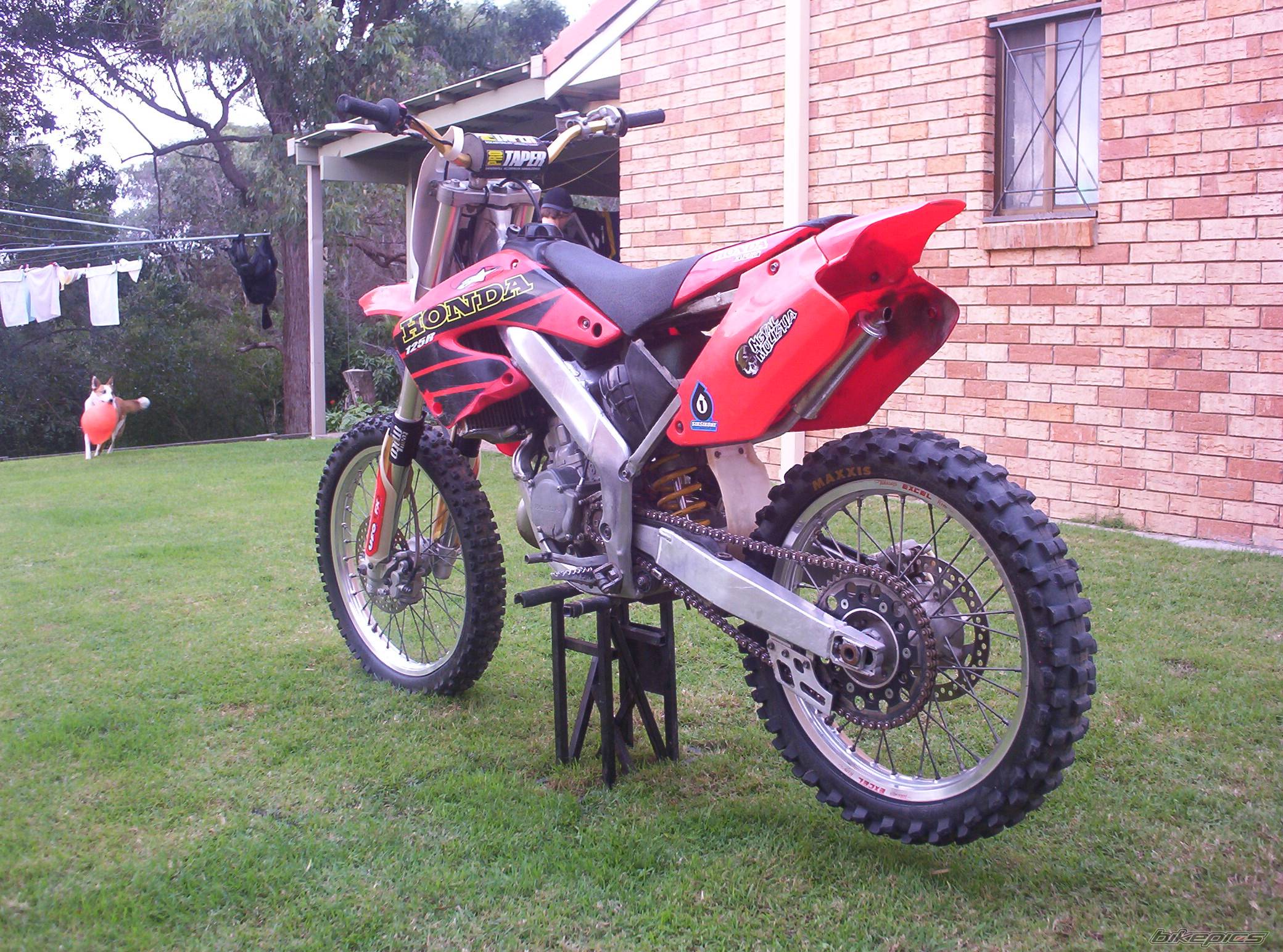 2000 HONDA CR 125 | Picture 393798 motorcycle photo