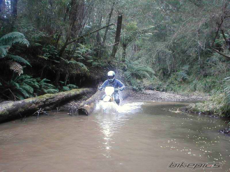 1998 SUZUKI DRZ 250 | Picture 39412 motorcycle photo