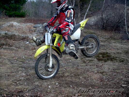 2003 SUZUKI RM 85 | Picture 394502 motorcycle photo