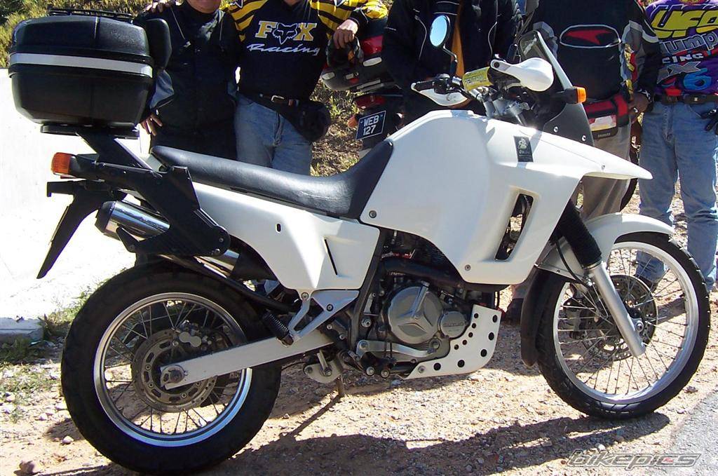 1993 SUZUKI DR 800 | Picture 394619 motorcycle photo