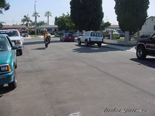2001 SUZUKI GSX R 600 | Picture 39472 motorcycle photo