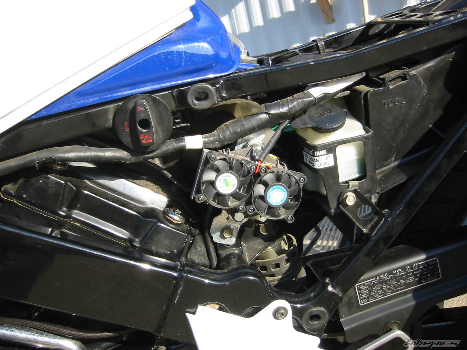 1989 HONDA VTR 250 | Picture 395258 motorcycle photo