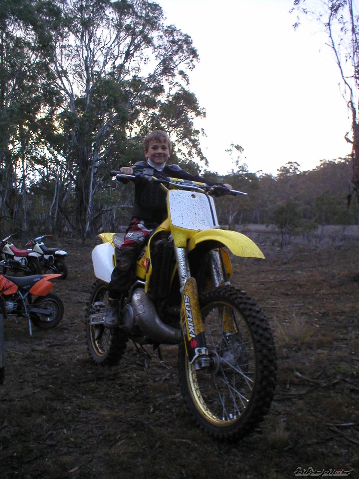 2000 SUZUKI RM 250 | Picture 395427 motorcycle photo
