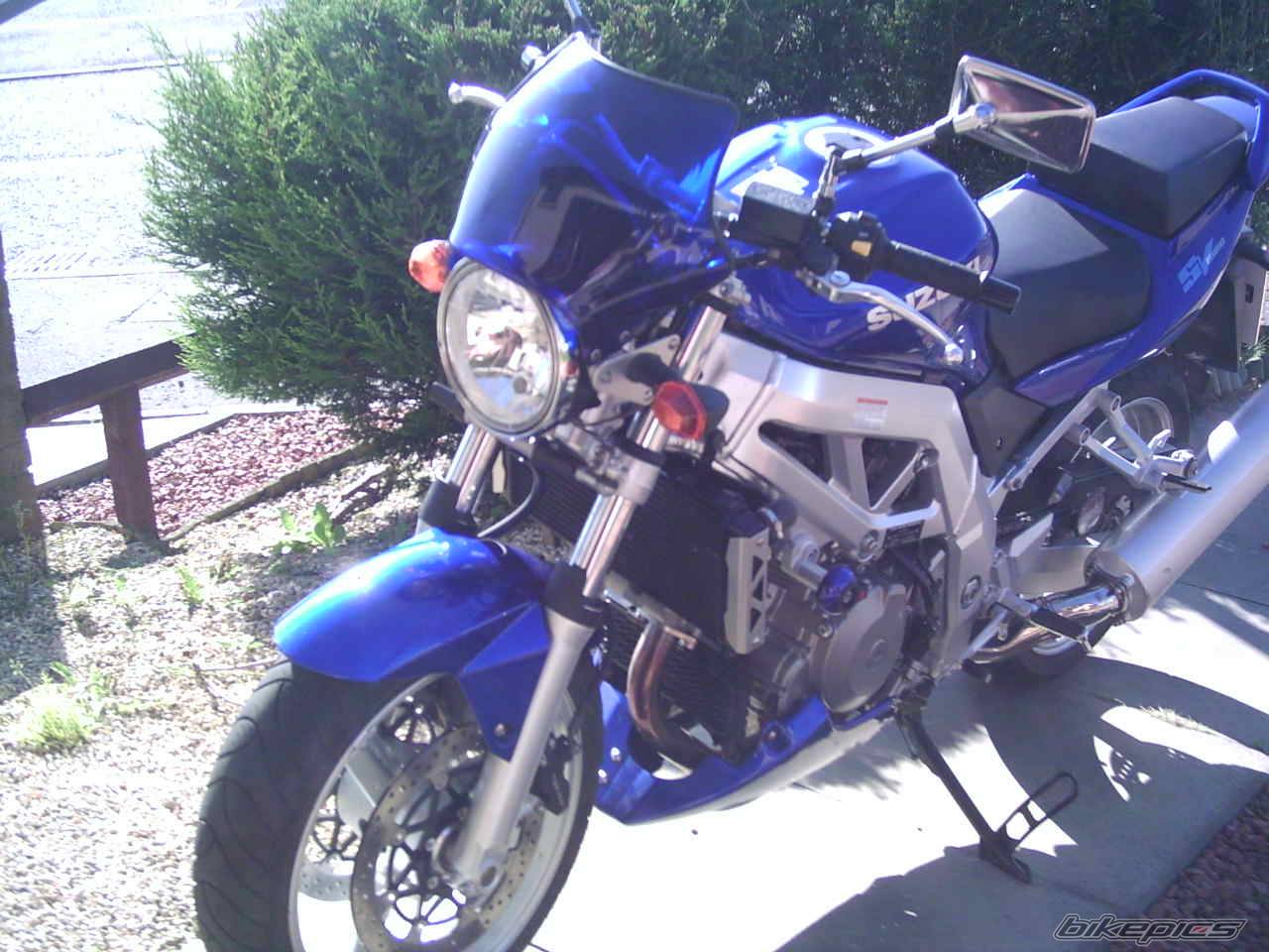 2004 SUZUKI SV 1000 | Picture 395447 motorcycle photo