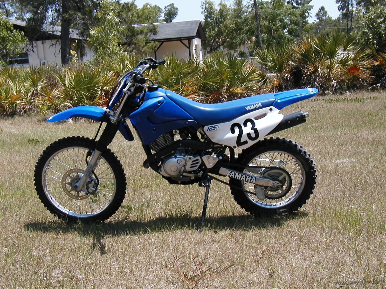 2001 YAMAHA TTR 125 | Picture 395687 motorcycle photo