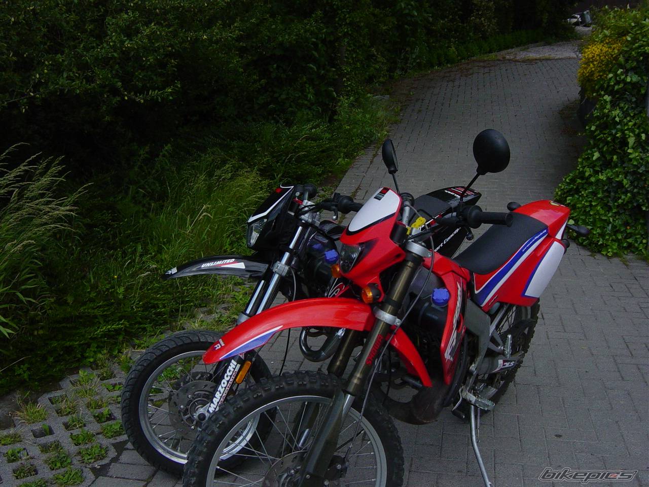 2003 DERBI SENDA DRD SM 50 | Picture 395773 motorcycle photo