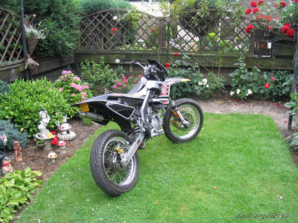 2004 DERBI SENDA DRD SM 50 | Picture 395817 motorcycle photo