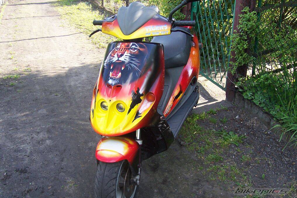 1995 MALAGUTI PHANTOM 50 F12 | Picture 395942 motorcycle photo