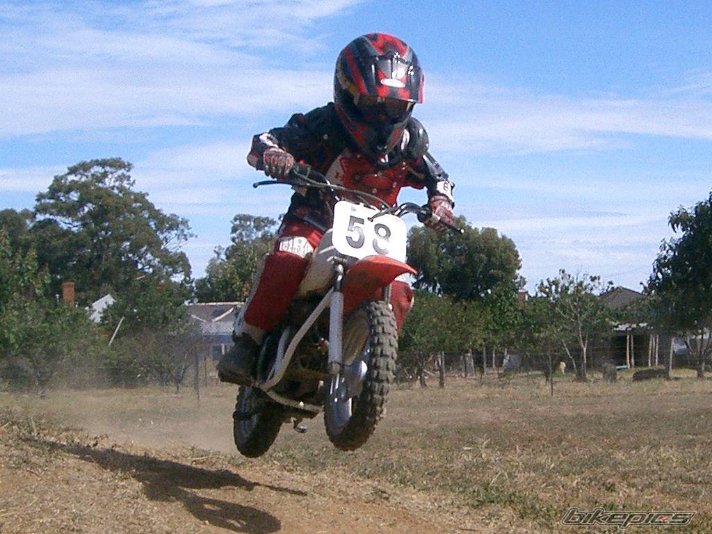 1998 HONDA QR 50 | Picture 396009 motorcycle photo
