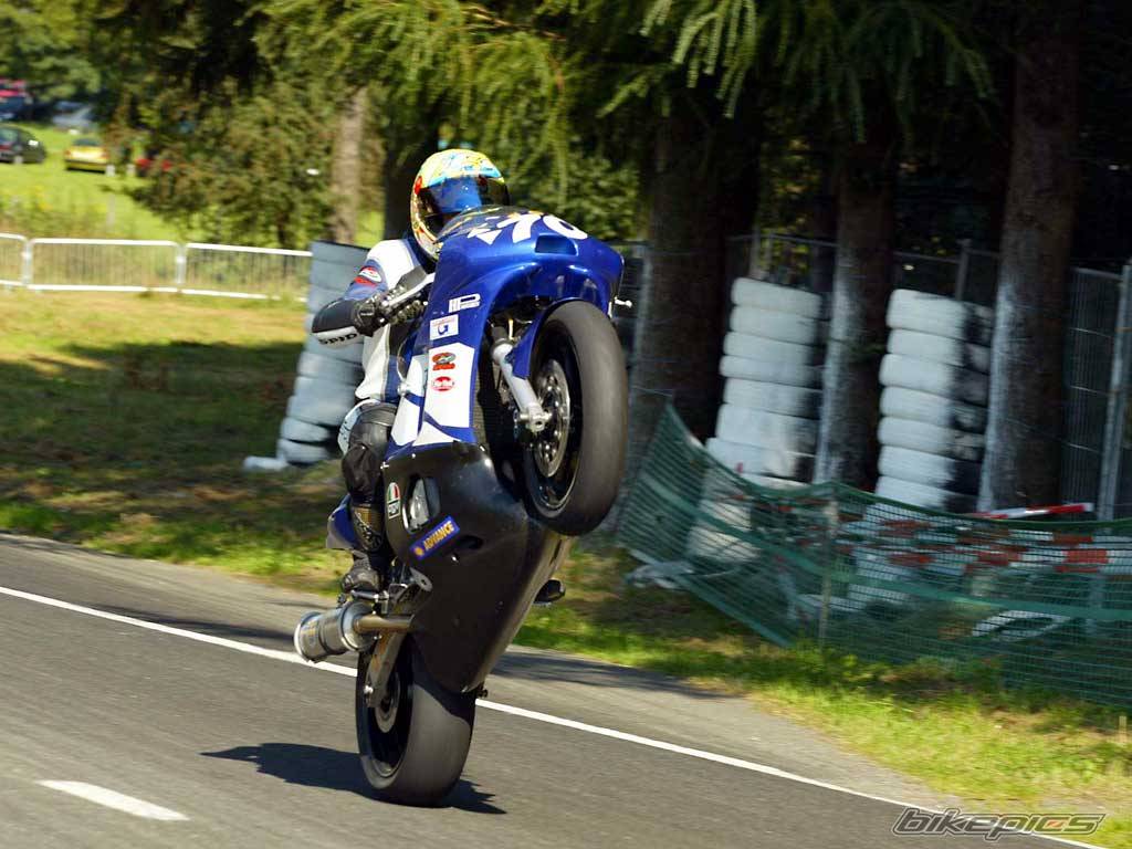 2002 YAMAHA YZF R6 | Picture 39603 motorcycle photo