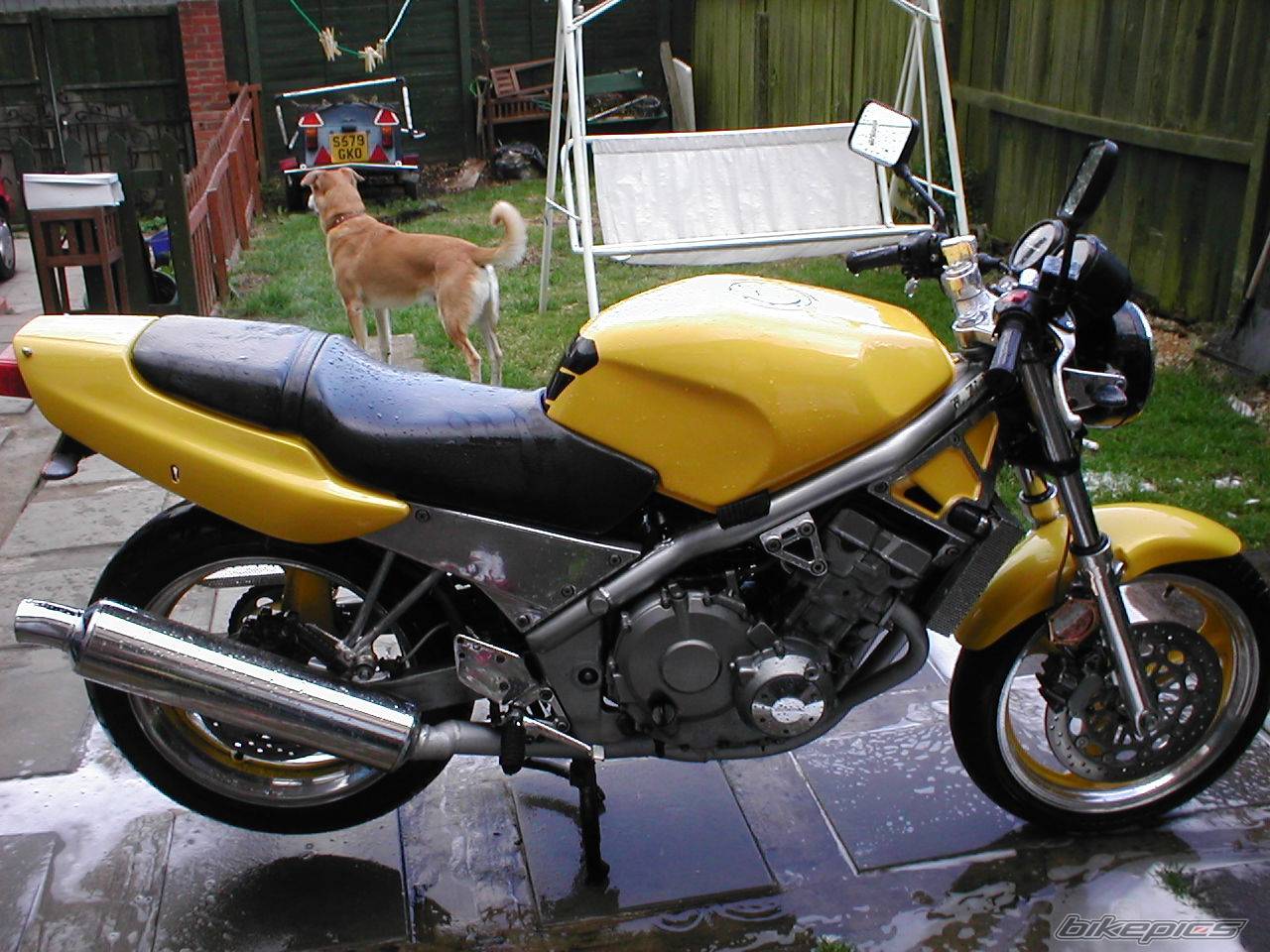 1989 HONDA CB 1 400 | Picture 396270 motorcycle photo