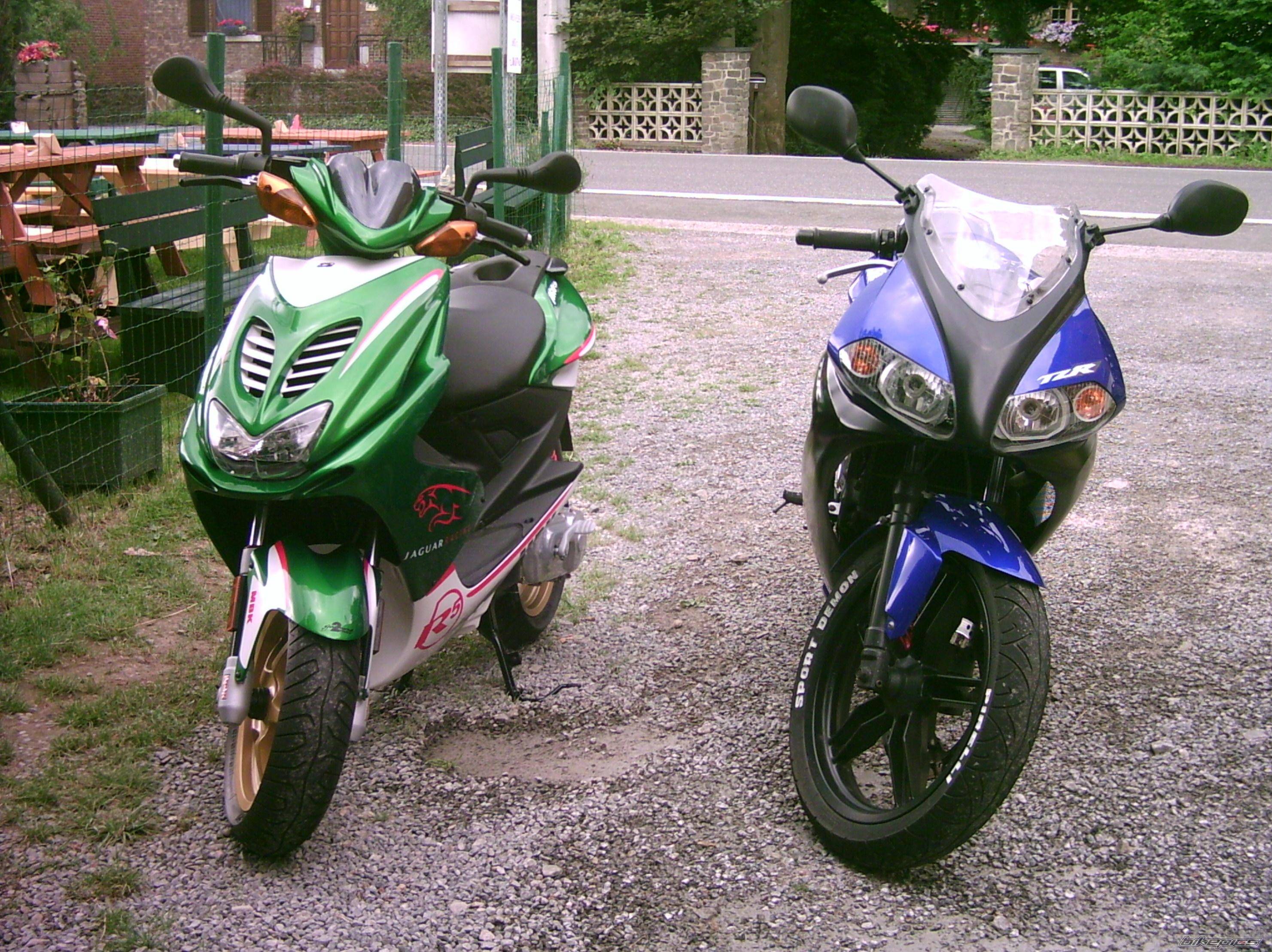2004 YAMAHA TZR 50 | Picture 396346 motorcycle photo
