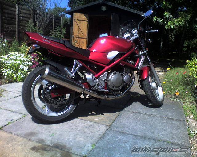 1993 SUZUKI BANDIT 250 | Picture 396487 motorcycle photo