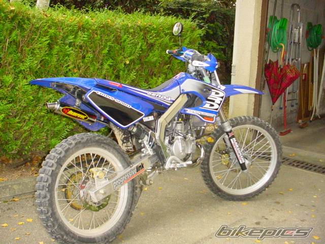 2002 DERBI SENDA DRD R | Picture 39726 motorcycle photo