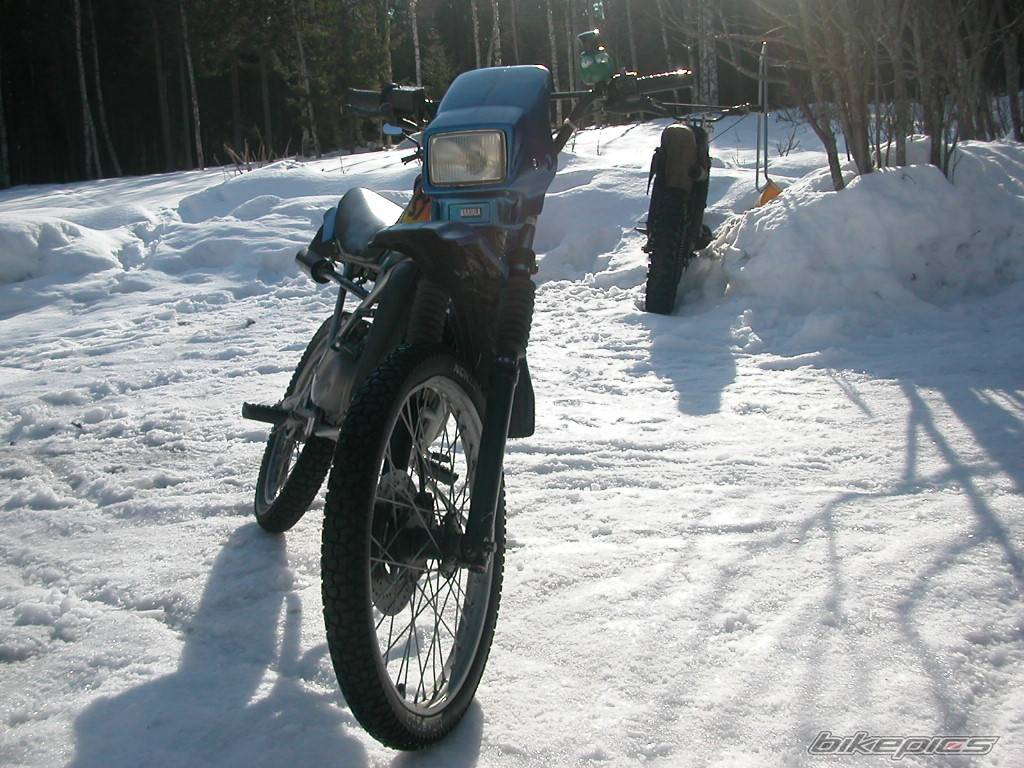 1993 SUZUKI S1 | Picture 397774 motorcycle photo