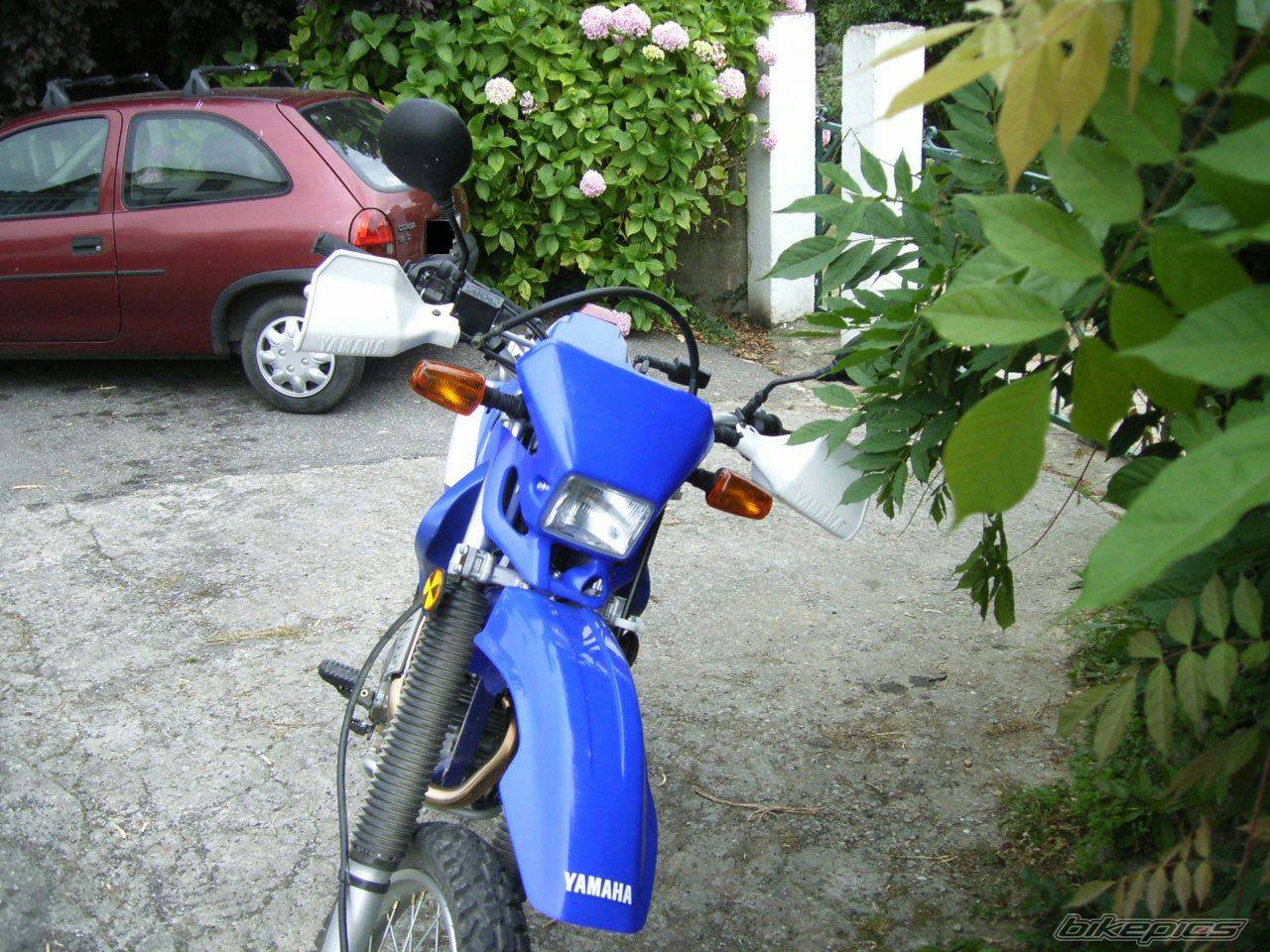 2005 YAMAHA TTR 250 | Picture 398365 motorcycle photo
