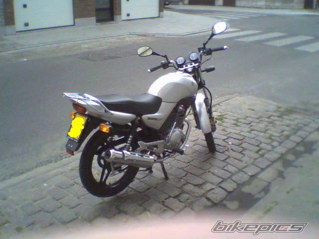 2005 YAMAHA YBR 125 | Picture 398742 motorcycle photo