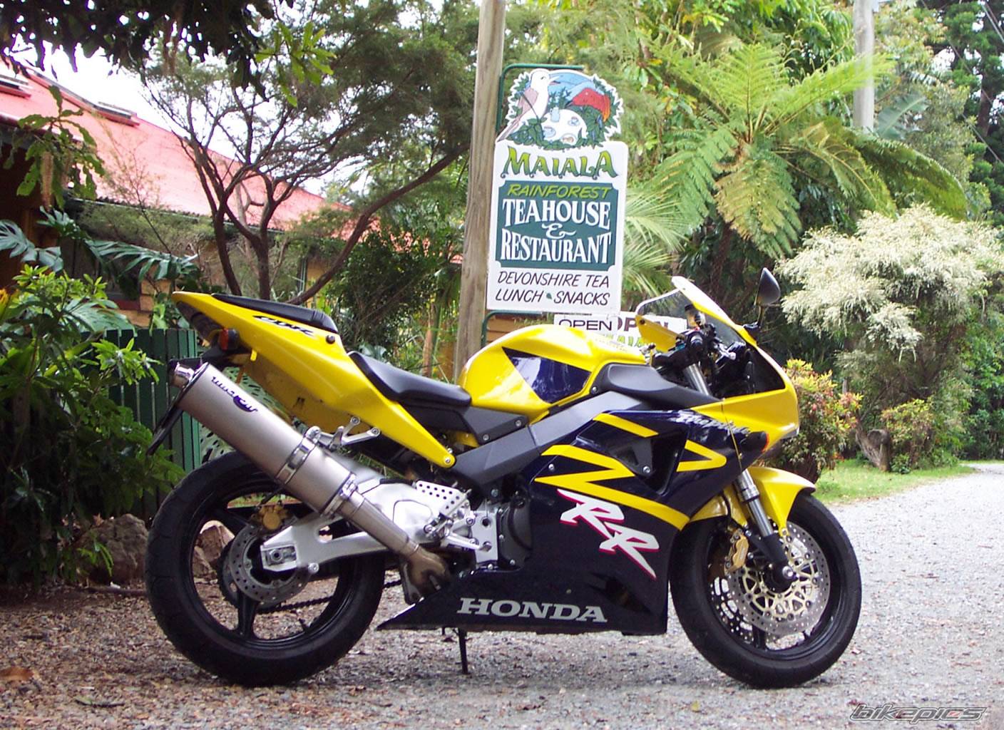2002 HONDA CBR 900 | Picture 39880 motorcycle photo